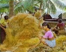 Coir Project